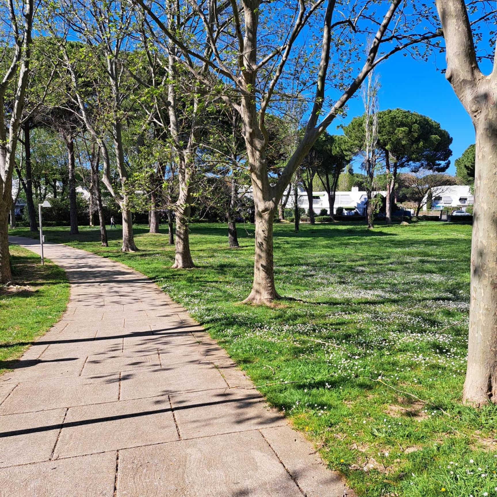 T2 West City Parking Clim Wifi 4Pers - Rossiconciergerie - Linge Inclus Ла-Гранд-Мот Экстерьер фото